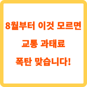 8월부터 이것 모르면 교통 과태료 폭탄_표지