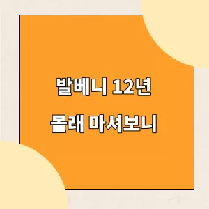 발베니 12년 몰래 마셔보니_표지